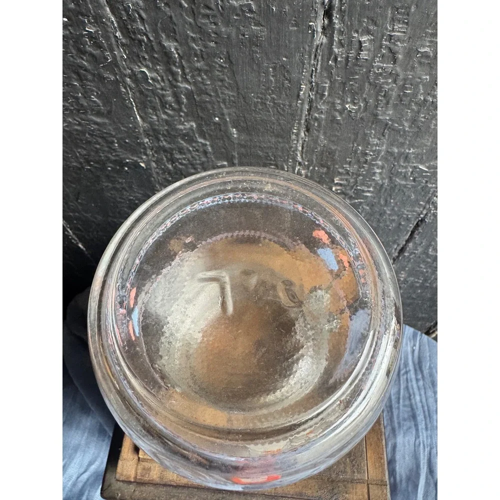 Vintage Arc France Goose Family Glass Canister Wire Bail Jar Hearts 3/4L